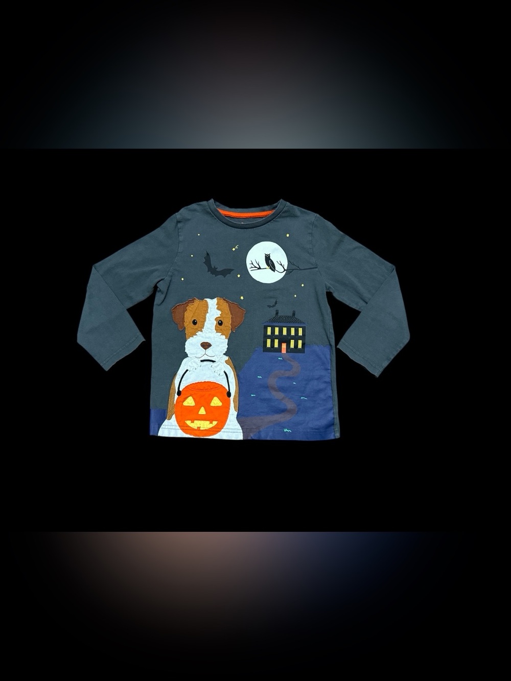 Mini Boden Kids’ Haunted House Dog Appliqué Long Sleeve Shirt Glow in Dark 6-7Y